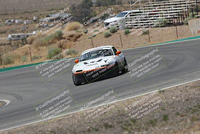 media/May-03-2025-Lucky Dog Racing (Sat) [[206de64b9d]]/Turn 4 B (1150am-130pm)/